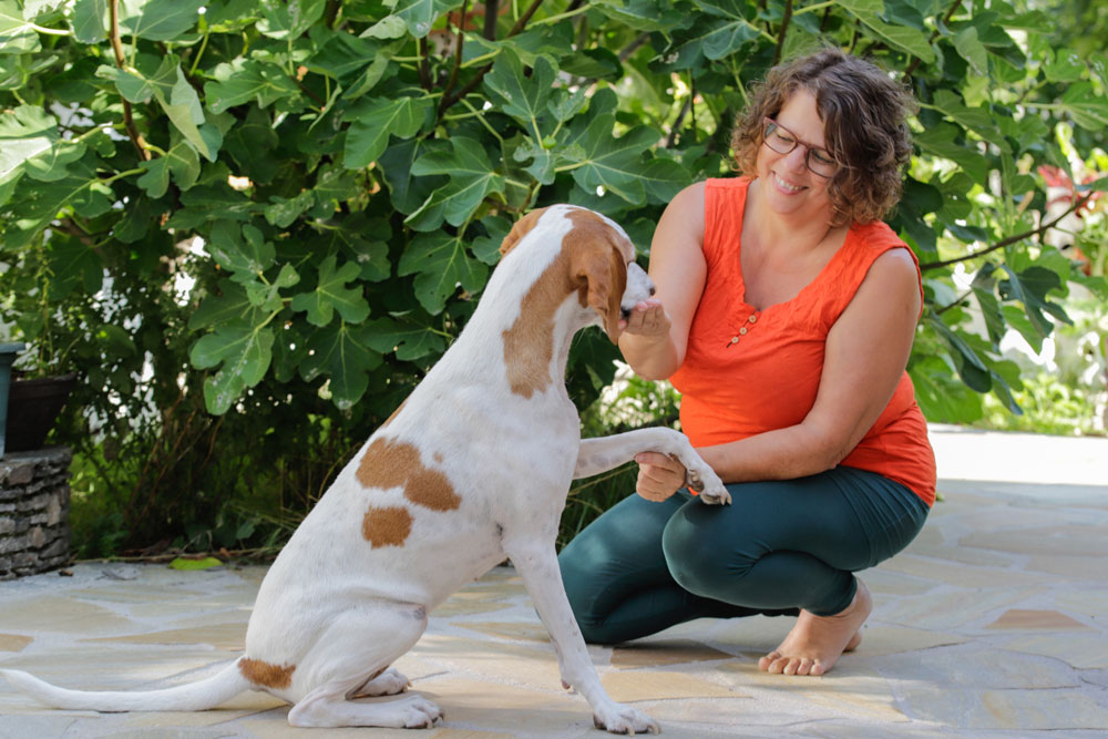 Tier-Energetik. Energiearbeit mit Hunden in der Herzklang Praxis